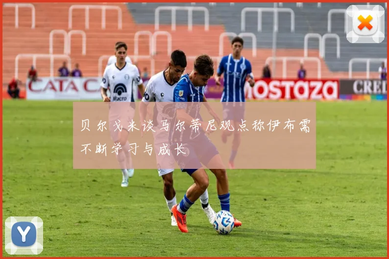 贝尔戈米谈马尔蒂尼观点称伊布需不断学习与成长