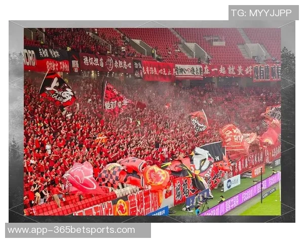 比尔赞直觉巨蛋球馆为顶尖场馆球迷热情高涨令人振奋